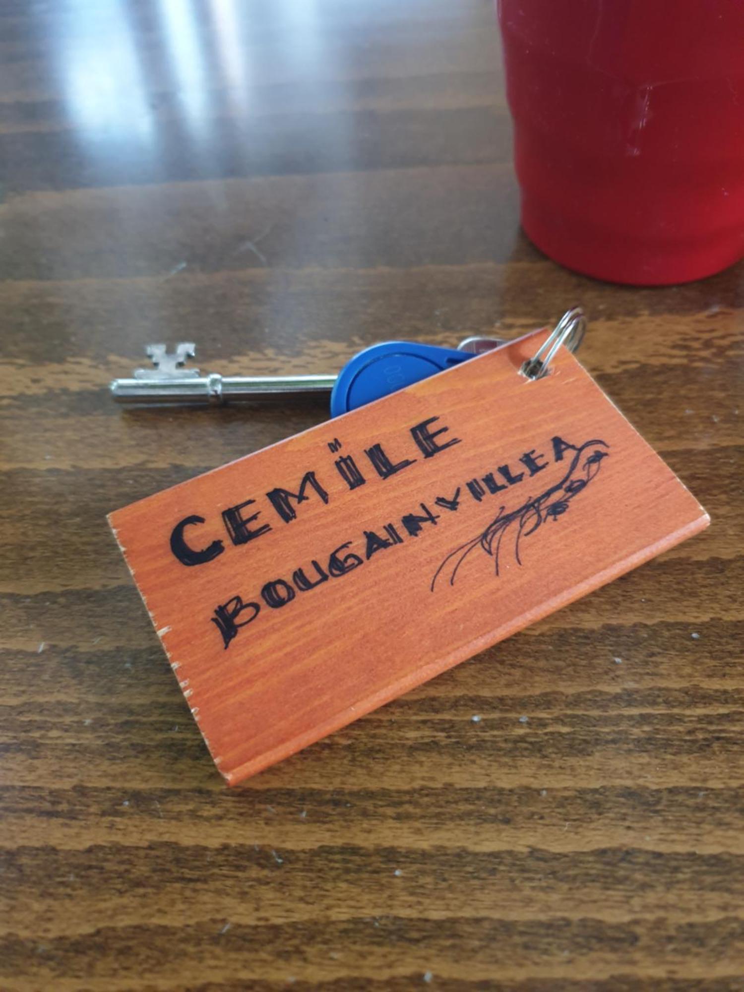 ניקוסיה Cypriot Swallow Boutique Hotel חדר תמונה