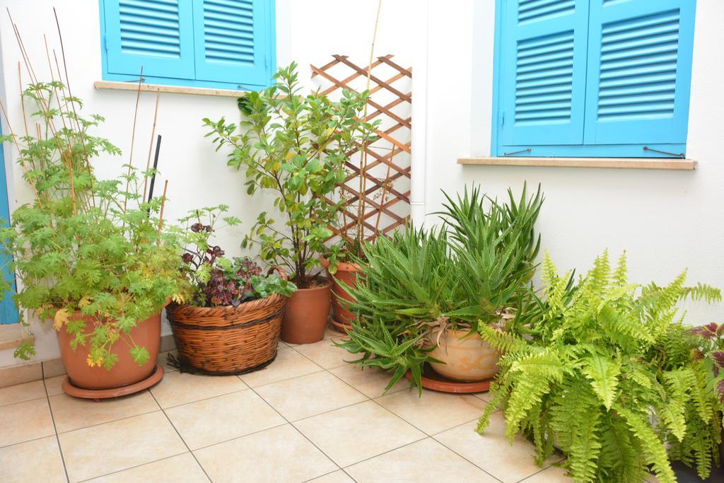 ניקוסיה Cypriot Swallow Boutique Hotel מראה חיצוני תמונה